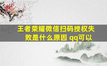 王者荣耀微信扫码授权失败是什么原因 qq可以